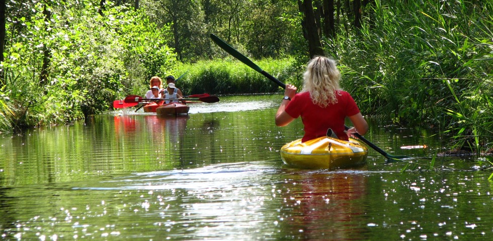 Kanoen Nationaal Park Weerribben Wieden WaterReijk.jpg