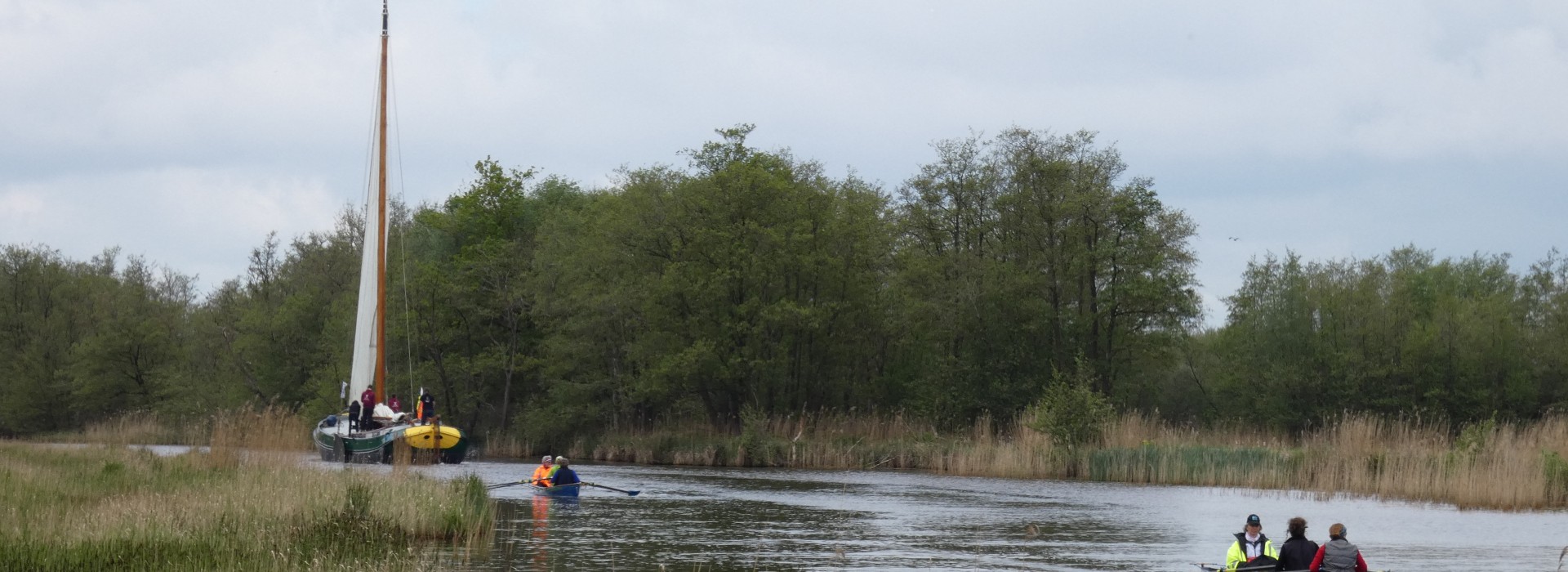 varen in de Weerribben foto eb.JPG