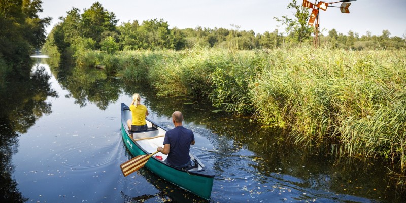 Weerribben-Wieden 2020 ©MarketingOost Nationaal Park en veenhart (6).jpg